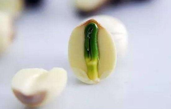 小心中毒!