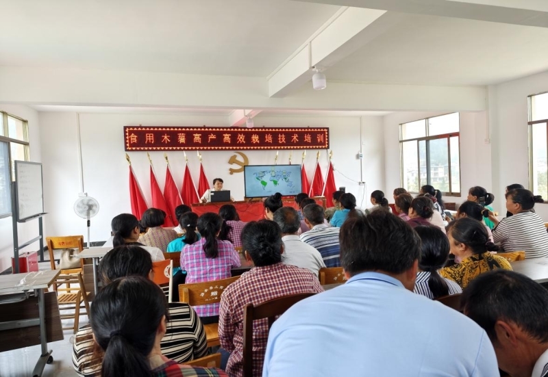 ��չľ��������ѵ��ʵ��ҵ���˻���