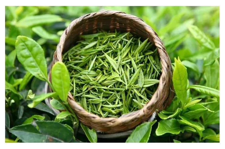 西部农产品交易中心：一季度贵州茶叶出口总值2236万元