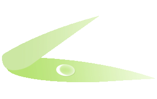 ���ſڵ��̻���ʮ�㣡��������