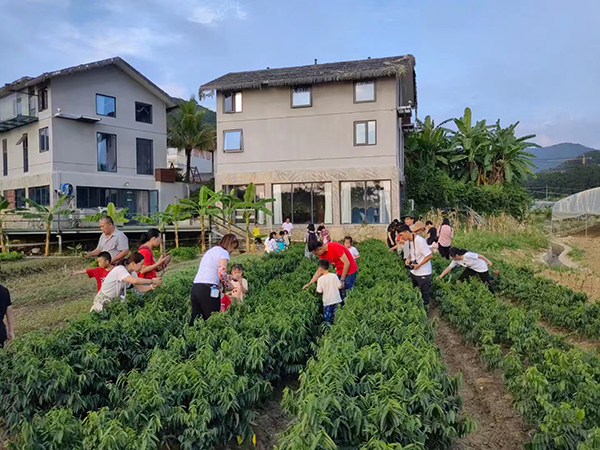 ����ʡ��ָɽ����ָɽ���ֲ���֮��