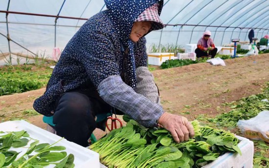 �Ͳ����ࣺһ��С����һ������8��Ԫ