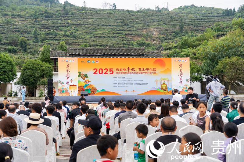 ⨺2025꿪԰ϵл˳